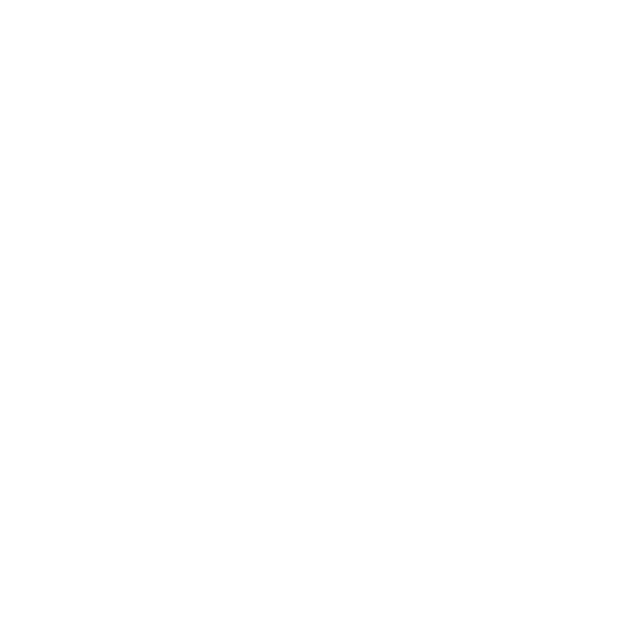 AMD Group